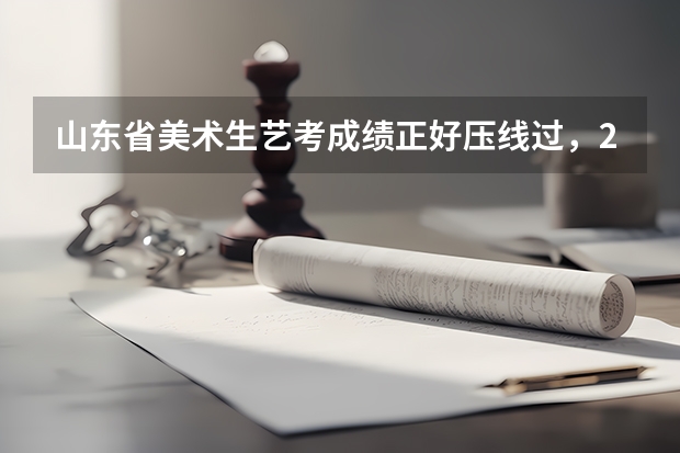 山东省美术生艺考成绩正好压线过，203分，可以考上本科大学吗?文化分需要考多少?